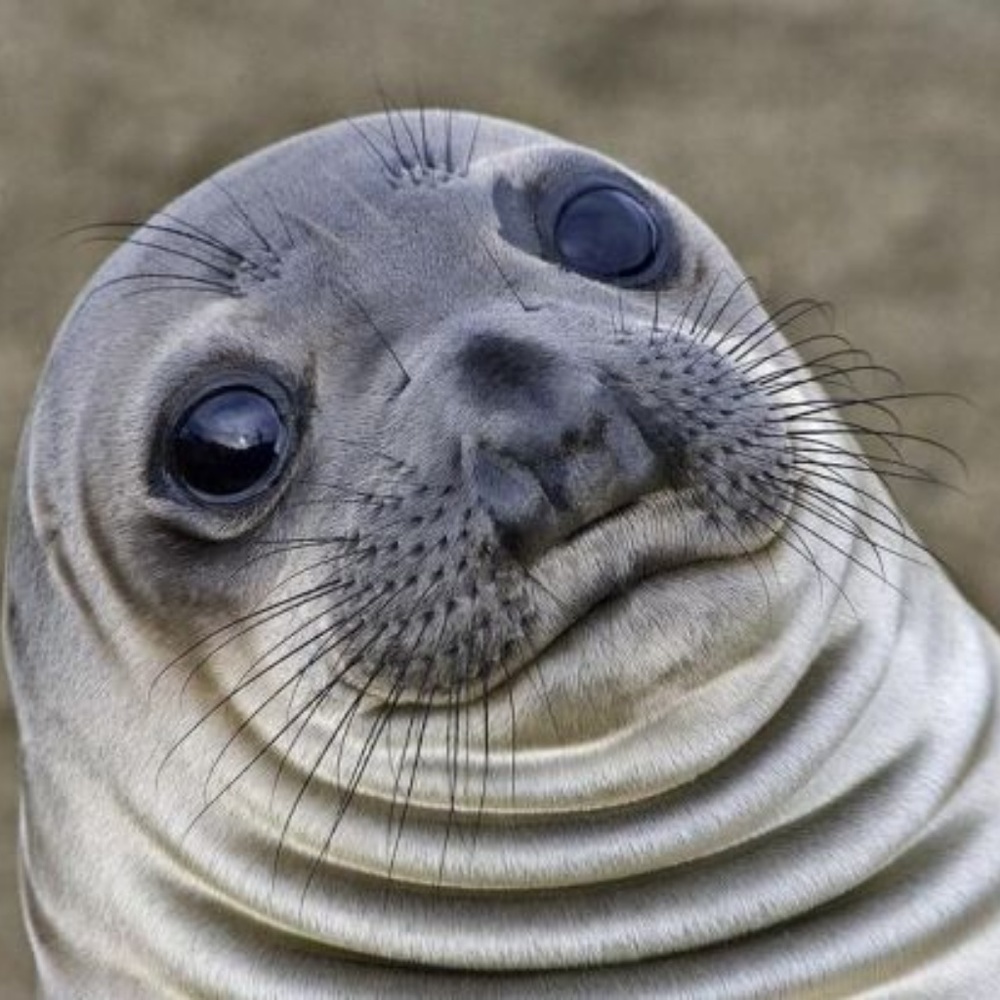 Meet your Posher, Shannon